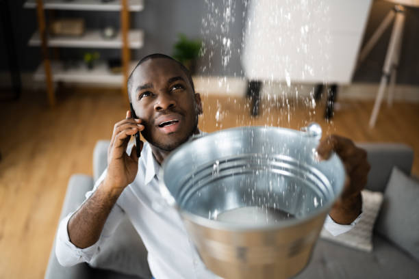 Best Water damage restoration near me  in Chelsea Cove, NY