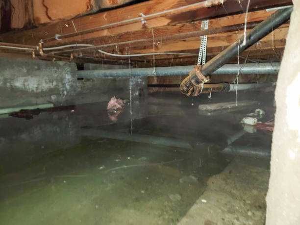 24/7 water damage repair in Chelsea Cove, NY