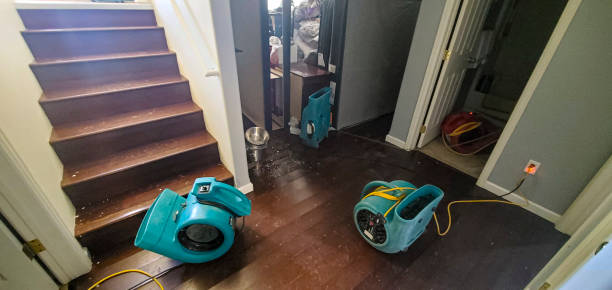Best Basement water damage restoration  in Chelsea Cove, NY