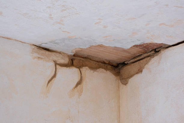 Best Carpet water damage restoration  in Chelsea Cove, NY