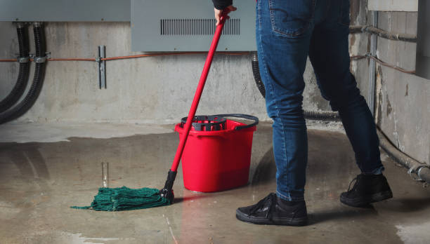 Best Local water damage restoration  in Chelsea Cove, NY