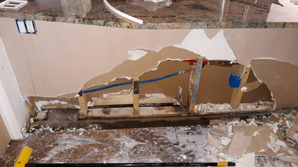 Best Mold removal after water damage  in Chelsea Cove, NY