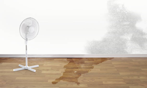 Best Commercial water damage restoration  in Chelsea Cove, NY