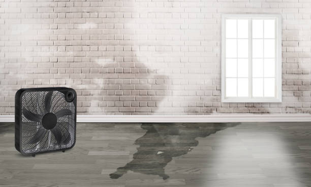 Best Commercial water damage restoration  in Chelsea Cove, NY