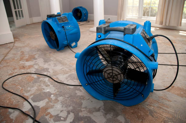 Best Sewage cleanup and water damage restoration  in Chelsea Cove, NY