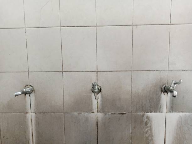 Reliable Chelsea Cove, NY Water damage restoration Solutions