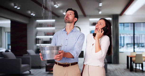 Best Water damage restoration near me  in Chelsea Cove, NY