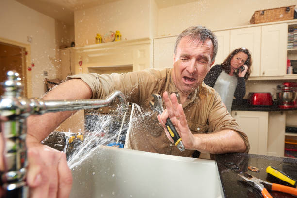 Best Local water damage restoration  in Chelsea Cove, NY